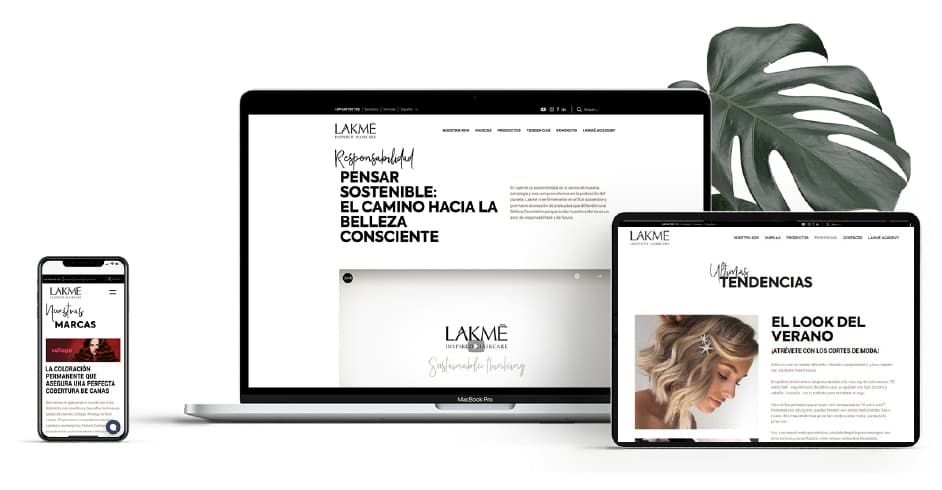 diapositivos conectados a la web de Lakm&eacute;