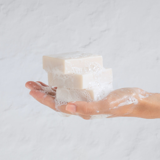 pastillas de champ&uacute; en formato s&oacute;lido